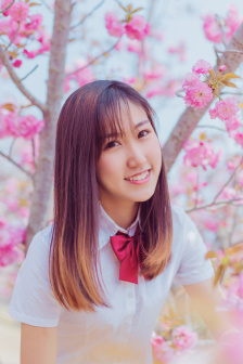 铁猴子传奇之花影危机HD